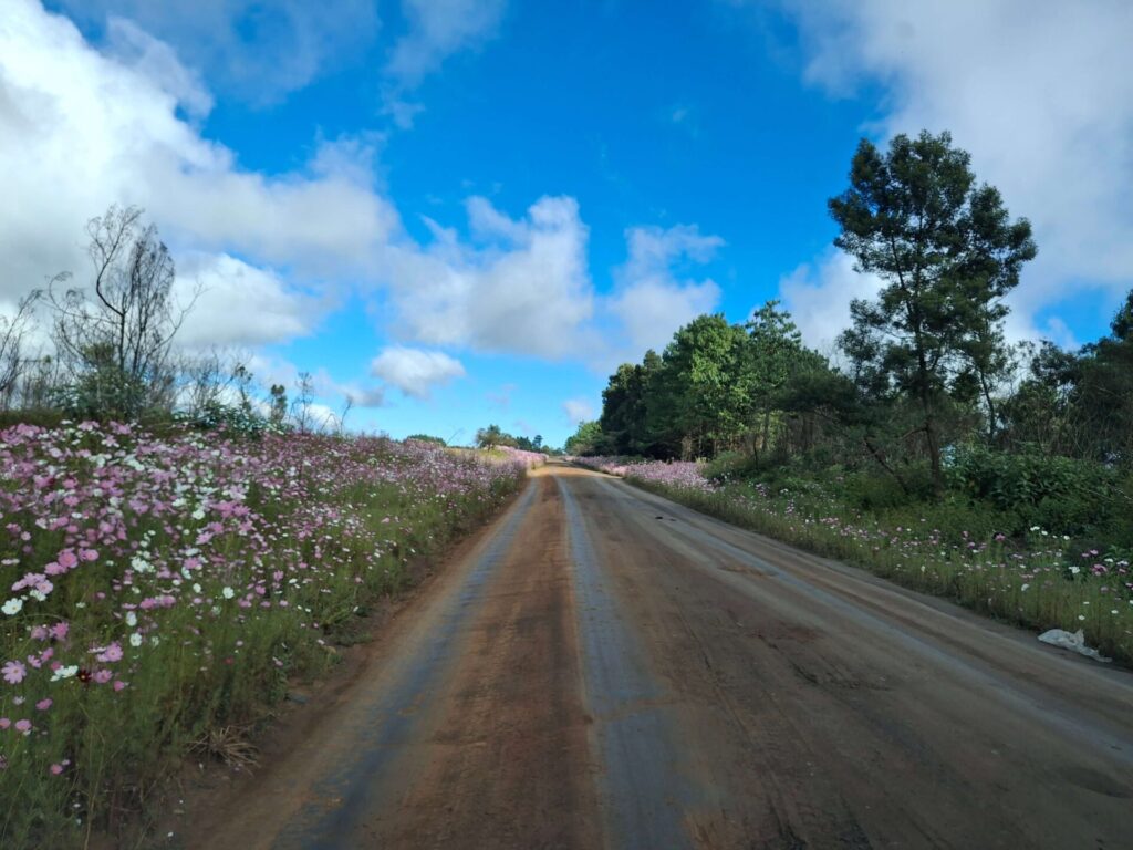 a private tour of the midlands offers stunning scenery like this